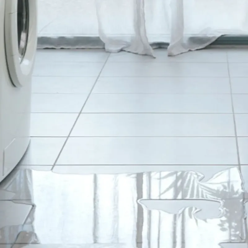 Appliance Leak Cleanup in Pike County, AR